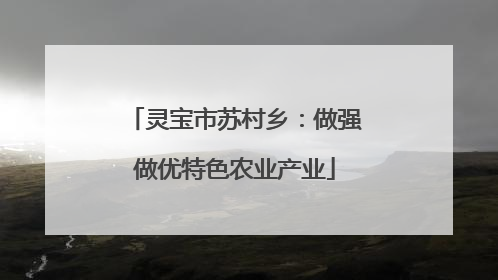 灵宝市苏村乡：做强做优特色农业产业