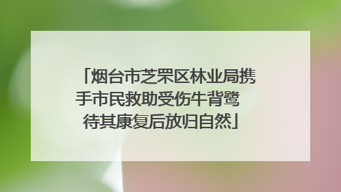 烟台市芝罘区林业局携手市民救助受伤牛背鹭 待其康复后放归自然