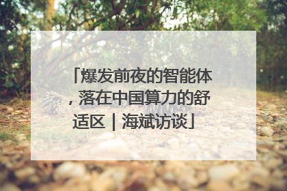 爆发前夜的智能体，落在中国算力的舒适区｜海斌访谈