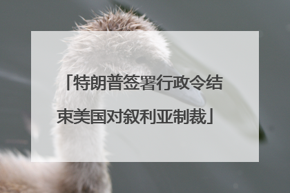特朗普签署行政令结束美国对叙利亚制裁