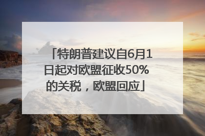 特朗普建议自6月1日起对欧盟征收50%的关税，欧盟回应