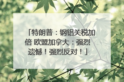 特朗普：钢铝关税加倍 欧盟加拿大：强烈遗憾！强烈反对！