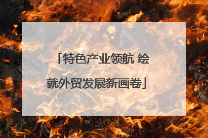 特色产业领航 绘就外贸发展新画卷