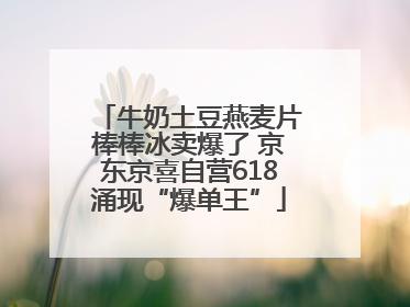 牛奶土豆燕麦片棒棒冰卖爆了 京东京喜自营618涌现“爆单王”