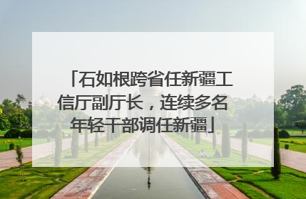 石如根跨省任新疆工信厅副厅长，连续多名年轻干部调任新疆