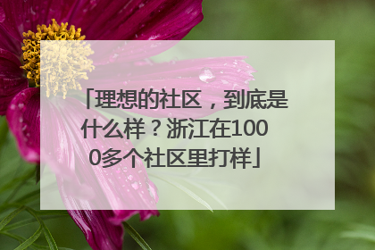 理想的社区，到底是什么样？浙江在1000多个社区里打样
