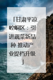 甘肃平凉崆峒区：引进蔬菜新品种 推动产业提档升级