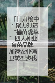 甘肃榆中：聚力打造“榆苗陇萃”四大种业育苗品牌 加速农业强县转型步伐