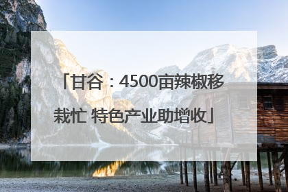 甘谷：4500亩辣椒移栽忙 特色产业助增收