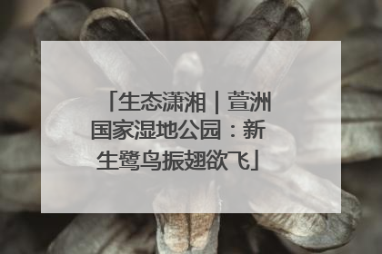 生态潇湘｜萱洲国家湿地公园：新生鹭鸟振翅欲飞