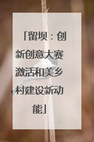 留坝：创新创意大赛激活和美乡村建设新动能