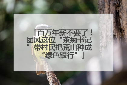 百万年薪不要了！团风这位“茶痴书记”带村民把荒山种成“绿色银行”