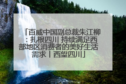 百威中国副总裁朱江柳：扎根四川 持续满足西部地区消费者的美好生活需求丨西望四川