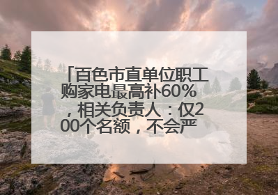 百色市直单位职工购家电最高补60％，相关负责人：仅200个名额，不会严格筛查身份