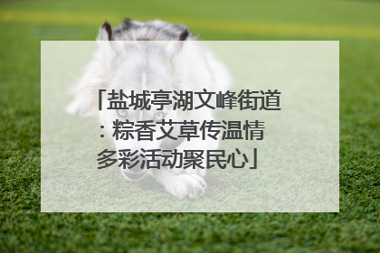 盐城亭湖文峰街道：粽香艾草传温情 多彩活动聚民心