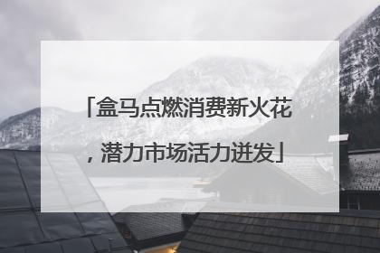 盒马点燃消费新火花，潜力市场活力迸发