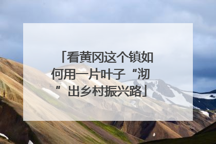 看黄冈这个镇如何用一片叶子“沏”出乡村振兴路