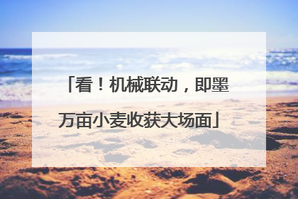 看！机械联动，即墨万亩小麦收获大场面