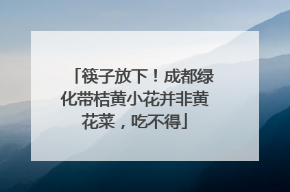 筷子放下！成都绿化带桔黄小花并非黄花菜，吃不得
