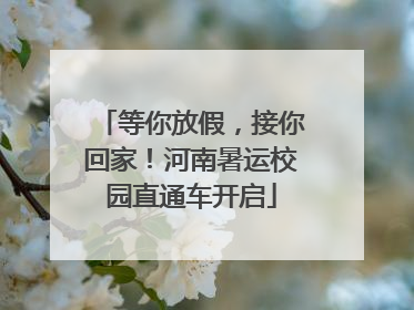 等你放假，接你回家！河南暑运校园直通车开启