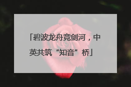碧波龙舟竞剑河，中英共筑“知音”桥