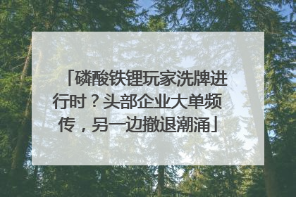 磷酸铁锂玩家洗牌进行时？头部企业大单频传，另一边撤退潮涌