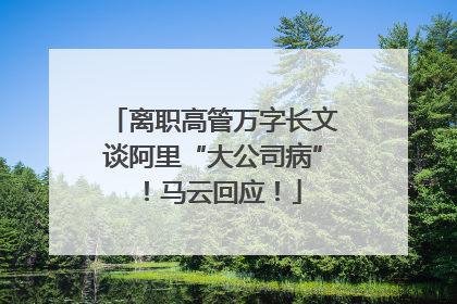离职高管万字长文谈阿里“大公司病”！马云回应！