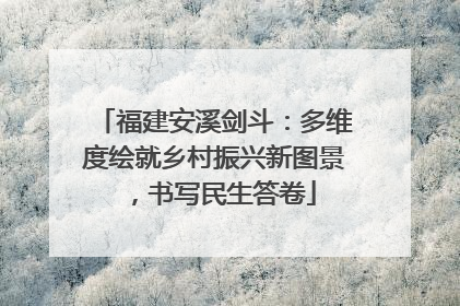 福建安溪剑斗：多维度绘就乡村振兴新图景，书写民生答卷