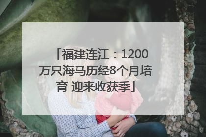 福建连江：1200万只海马历经8个月培育 迎来收获季