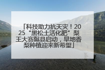 科技助力抗天灾！2025“黑松土活化肥”梨王大赛隰县启动，旱地香梨种植迎来新希望