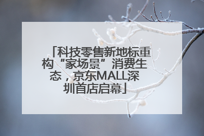 科技零售新地标重构“家场景”消费生态，京东MALL深圳首店启幕