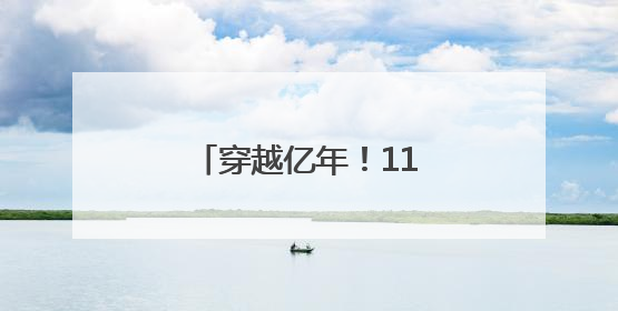 穿越亿年！118件恐龙“镇馆之宝”齐聚上海