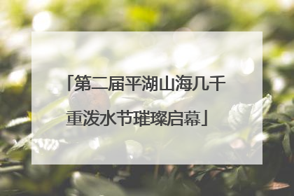 第二届平湖山海几千重泼水节璀璨启幕