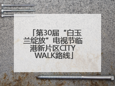 第30届“白玉兰绽放”电视节临港新片区CITY WALK路线