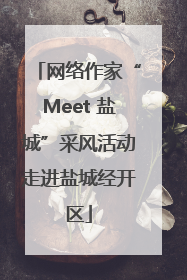 网络作家“Meet 盐城”采风活动走进盐城经开区