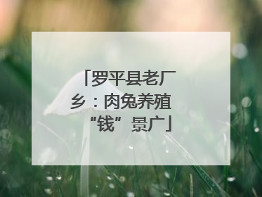 罗平县老厂乡：肉兔养殖“钱”景广