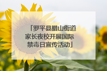 罗平县腊山街道家长夜校开展国际禁毒日宣传活动