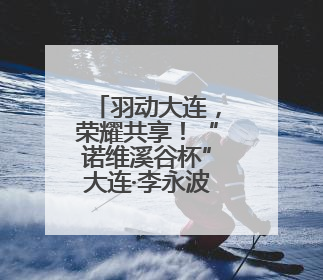 羽动大连，荣耀共享！“诺维溪谷杯”大连·李永波羽毛球公开赛圆满落幕！