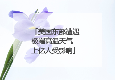 美国东部遭遇极端高温天气 上亿人受影响