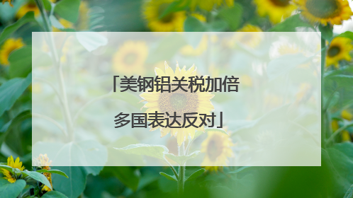 美钢铝关税加倍 多国表达反对