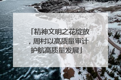精神文明之花绽放，周村以高质量审计护航高质量发展