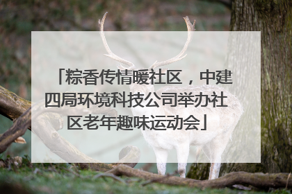 粽香传情暖社区，中建四局环境科技公司举办社区老年趣味运动会