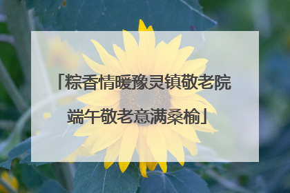 粽香情暖豫灵镇敬老院 端午敬老意满桑榆
