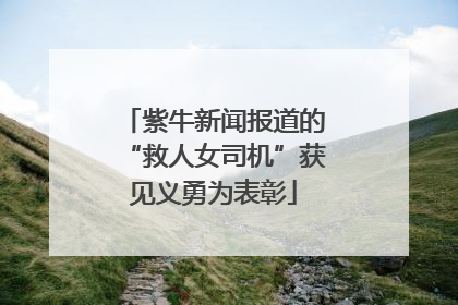 紫牛新闻报道的“救人女司机”获见义勇为表彰