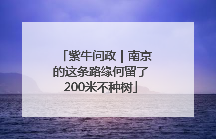 紫牛问政｜南京的这条路缘何留了200米不种树