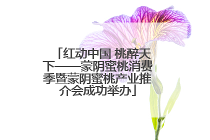 红动中国 桃醉天下——蒙阴蜜桃消费季暨蒙阴蜜桃产业推介会成功举办