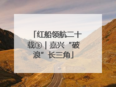 红船领航二十载③｜嘉兴“破浪”长三角