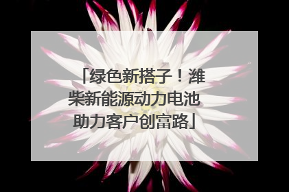 绿色新搭子！潍柴新能源动力电池助力客户创富路