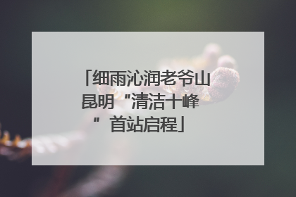 细雨沁润老爷山 昆明“清洁十峰”首站启程