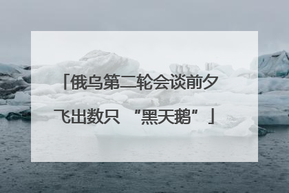 俄乌第二轮会谈前夕 飞出数只 “黑天鹅”